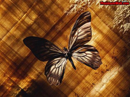 -|- -|-������ R.I.P��� -|- -|-